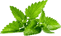 秋思电话轰炸平台